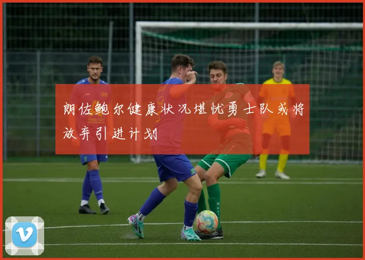 朗佐鲍尔健康状况堪忧勇士队或将放弃引进计划