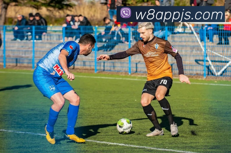 W88(优德)平台生态图